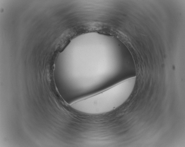 X0000076240512200609280926