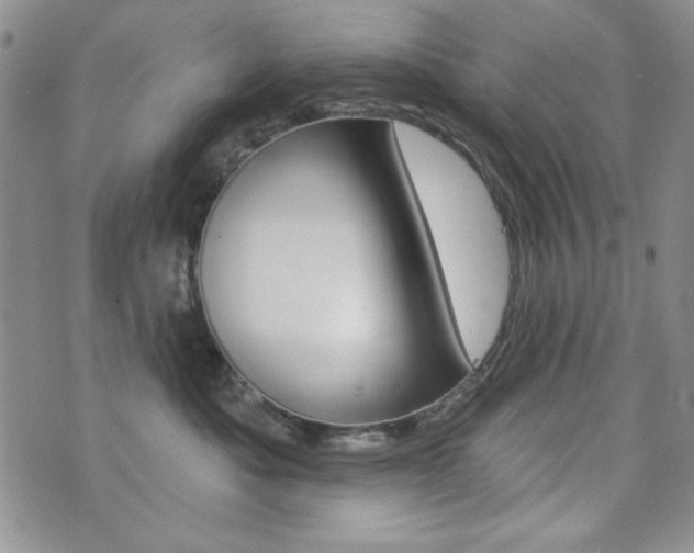 X0000076240525200609280926