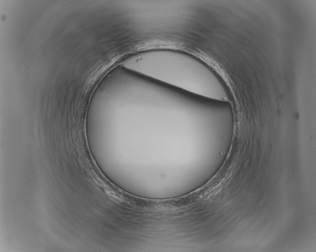 X0000076240529200609280925