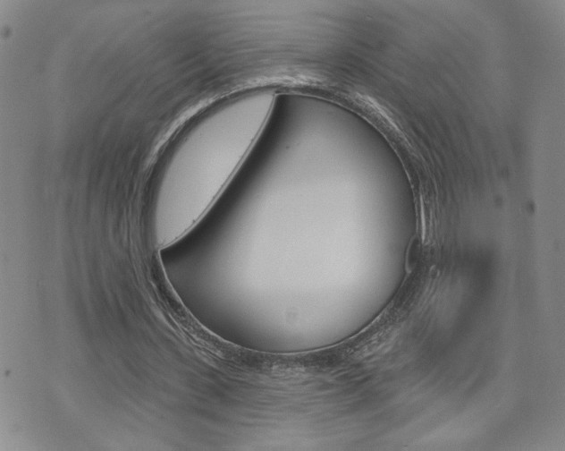 X0000076240531200609280925