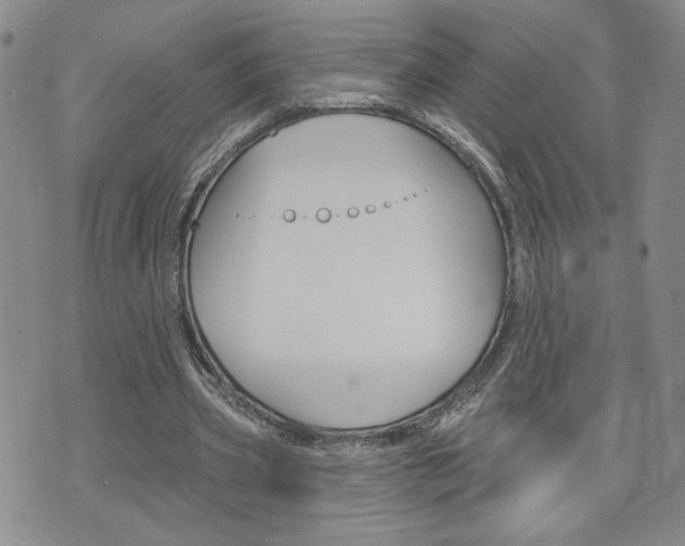 X0000076240533200609280925