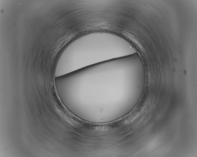 X0000076240541200609280925