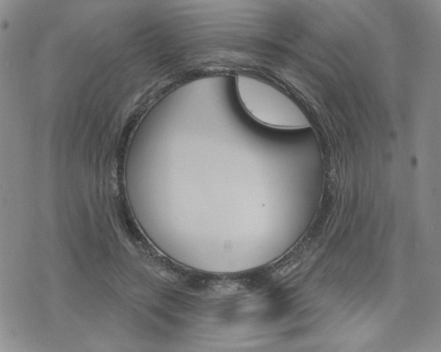 X0000076240547200609280925
