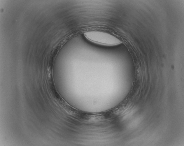 X0000076240555200609280925
