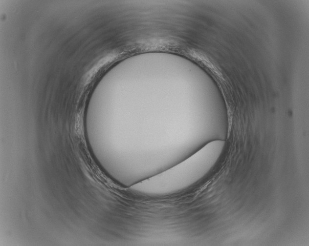 X0000076240583200609280925