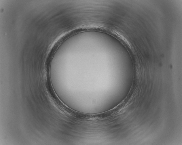 X0000076240584200609280925