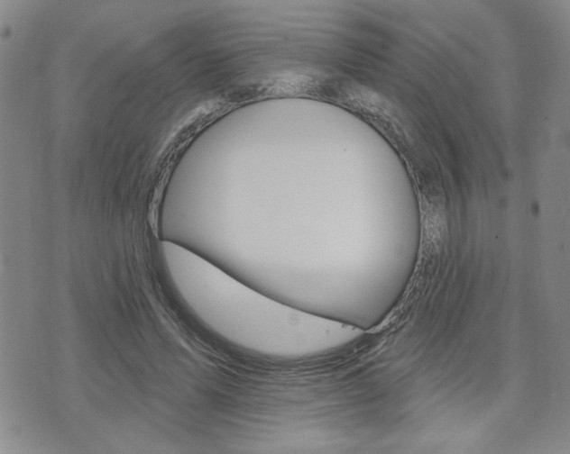 X0000076240591200609280925