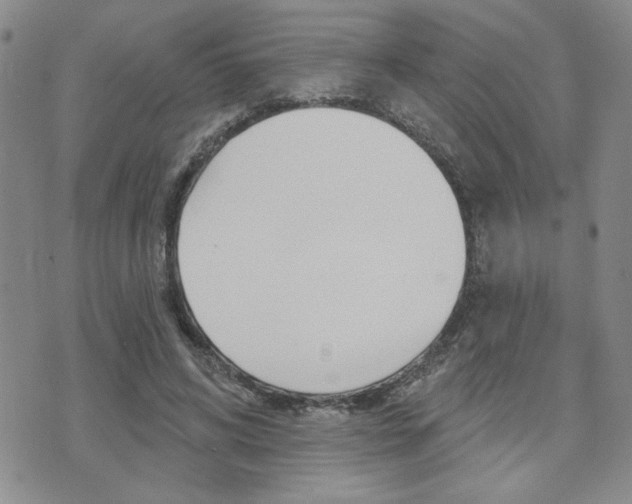 X0000076240592200609280924