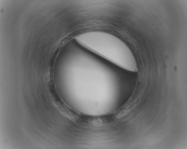 X0000076240600200609280924