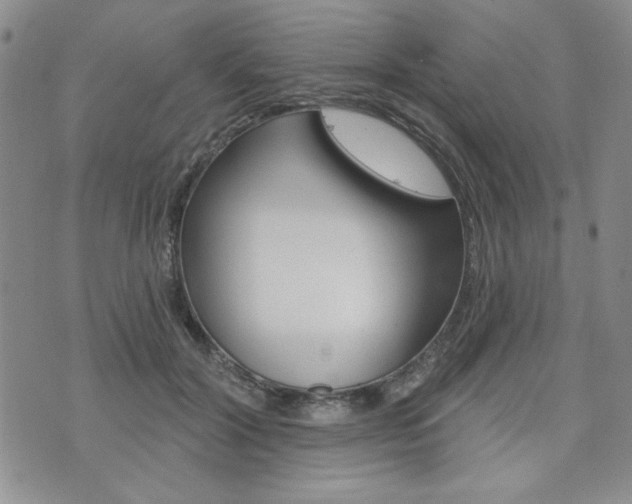 X0000076240604200609280924