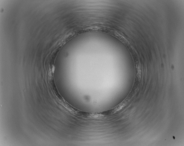 X0000076240617200609280924