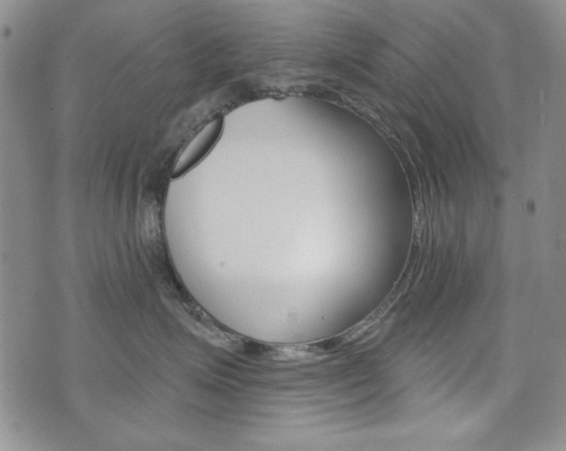 X0000076240623200609280924