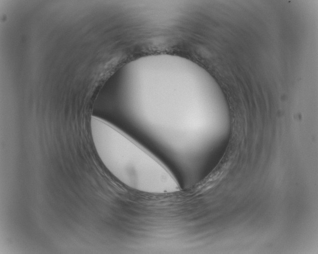 X0000076240624200609280924