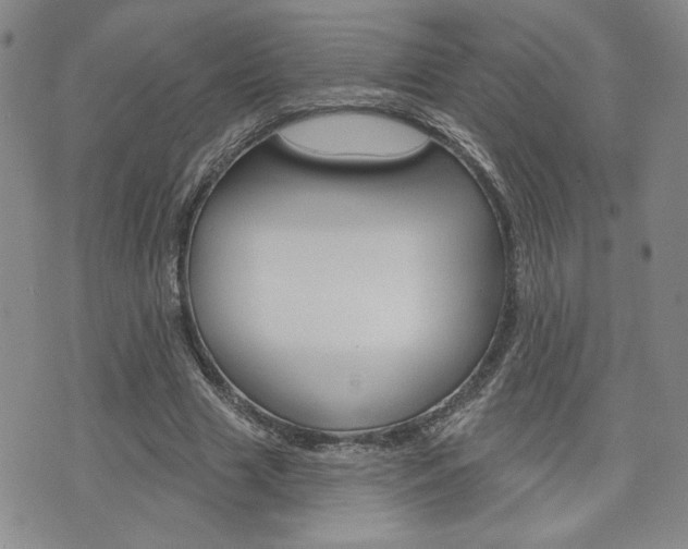 X0000076240633200609280923