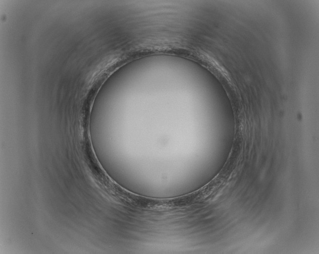 X0000076240635200609280923