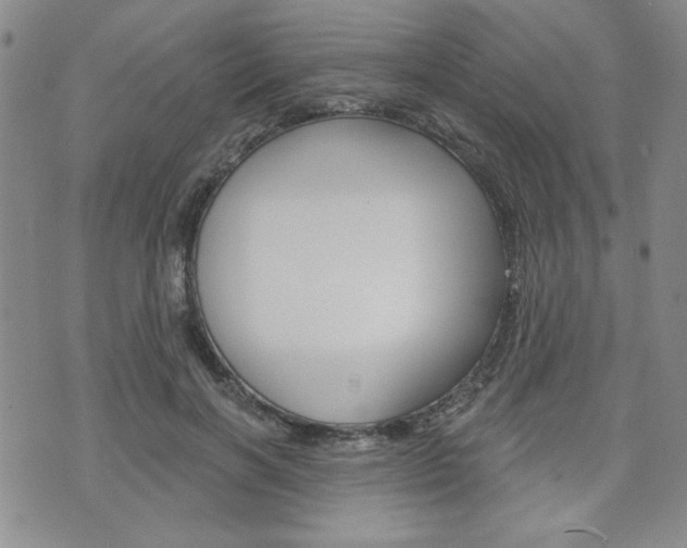 X0000076240646200609280924