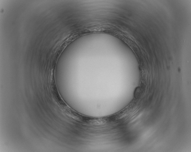 X0000076240652200609280924