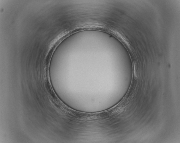 X0000076240675200609280923
