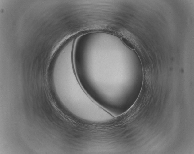 X0000076240676200609280923