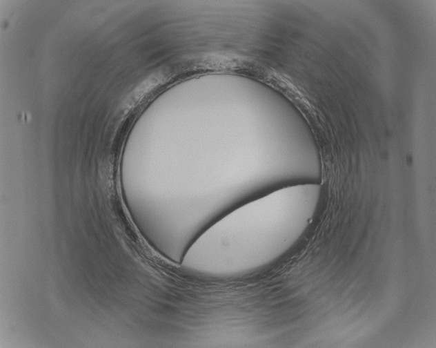 X0000076240679200609280923