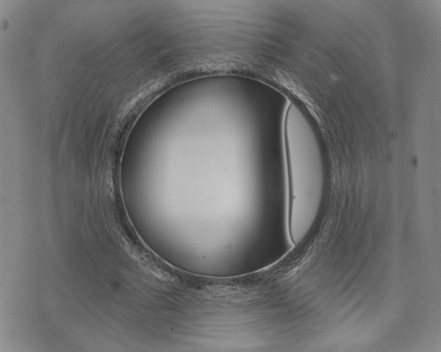 X0000076240681200609280923