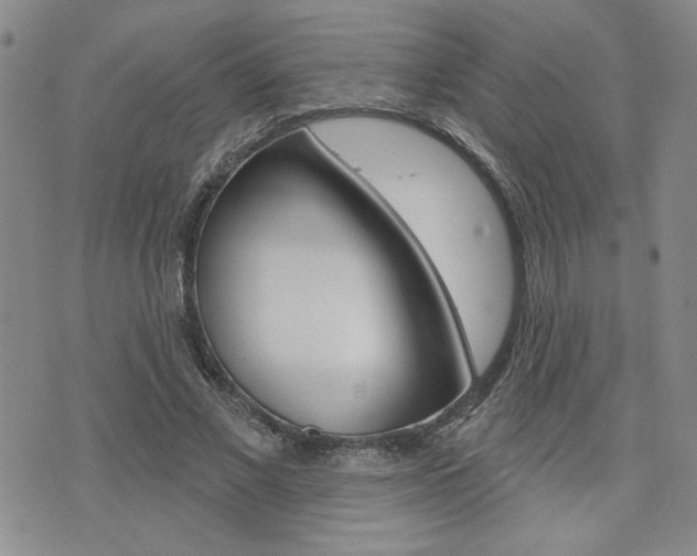 X0000076240685200609280923