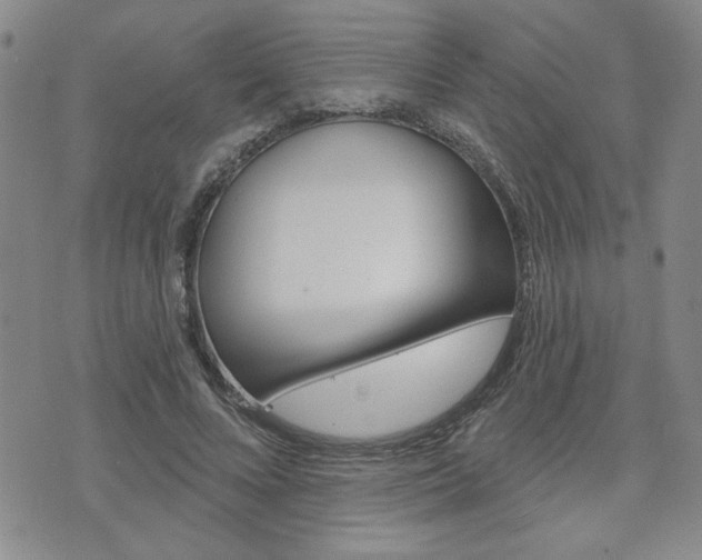 X0000076240688200609280923