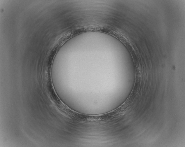 X0000076240690200609280923