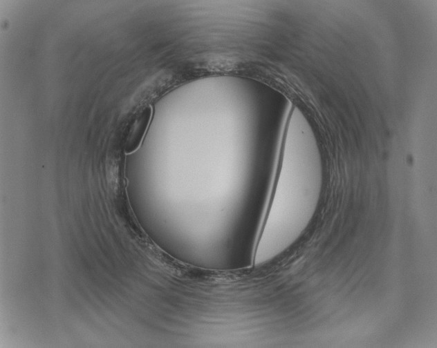 X0000076240697200609280923