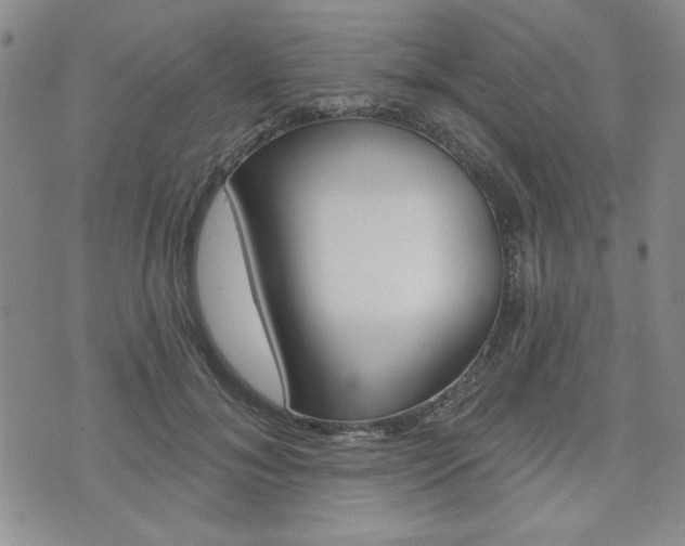 X0000076240700200609280923
