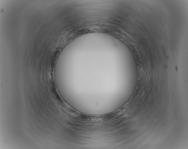 X0000076240702200609280923