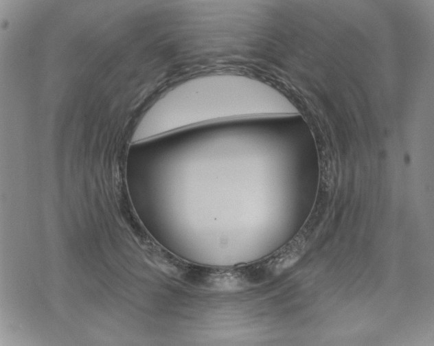 X0000076240704200609280923
