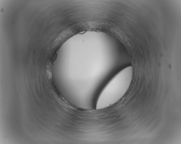 X0000076240719200609280922