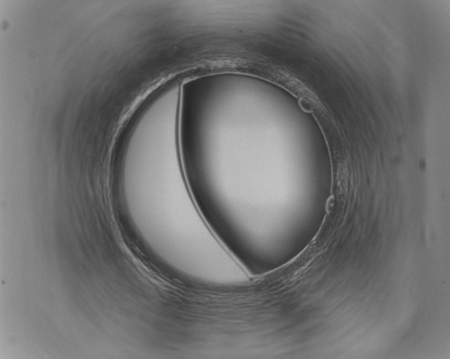 X0000076240722200609280922