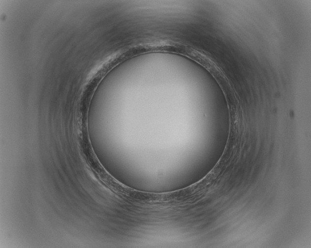 X0000076240732200609280922