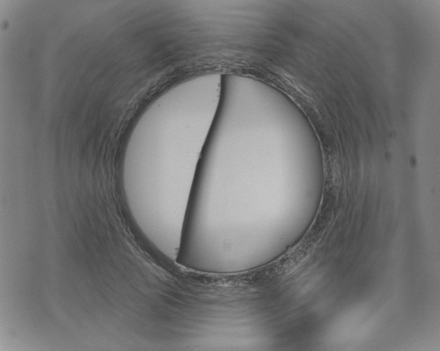 X0000076240737200609280922