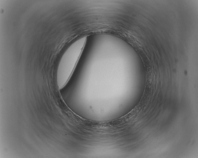 X0000076240743200609280922