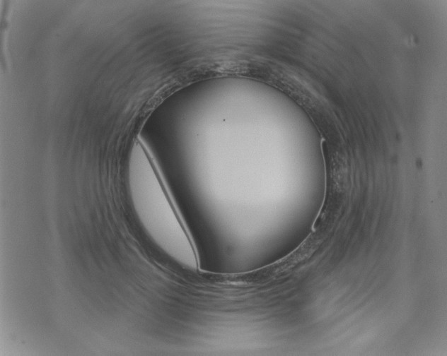 X0000076240748200609280922