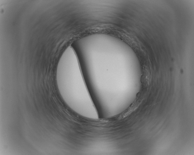 X0000076240758200609280922