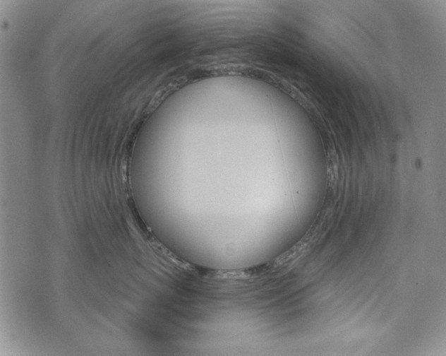X0000076240767200609280922