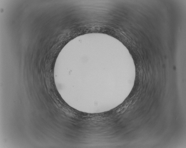 X0000076240769200609280922