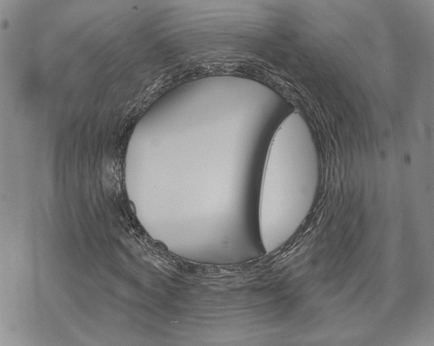 X0000076240772200609280921