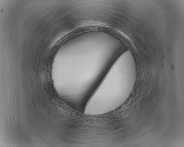 X0000076240775200609280921
