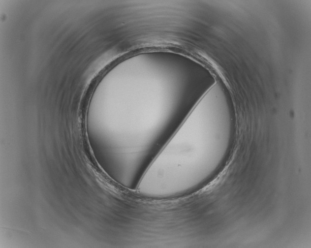 X0000076240779200609280921