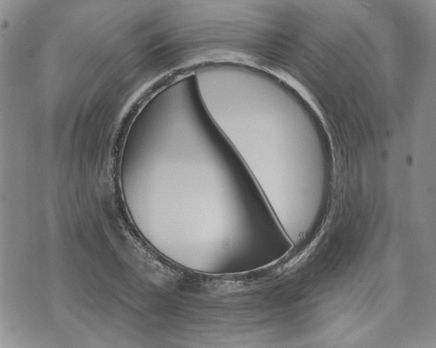 X0000076240783200609280921