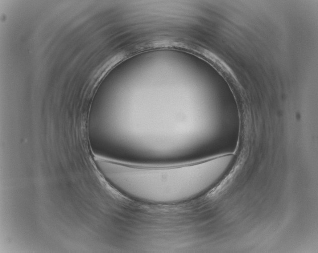 X0000076240801200609280921
