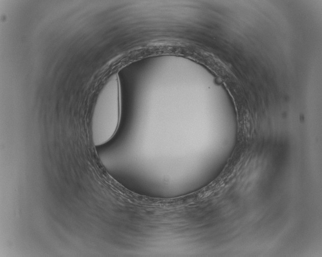 X0000076240821200609280920
