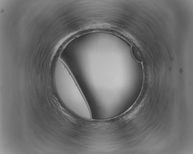 X0000076240830200609280920