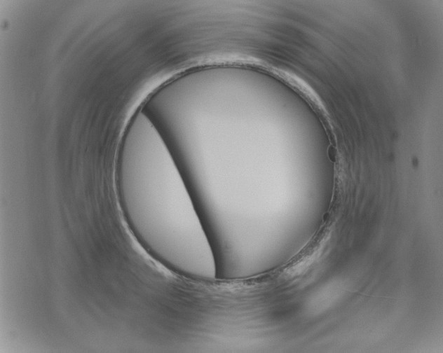 X0000076240847200609280920