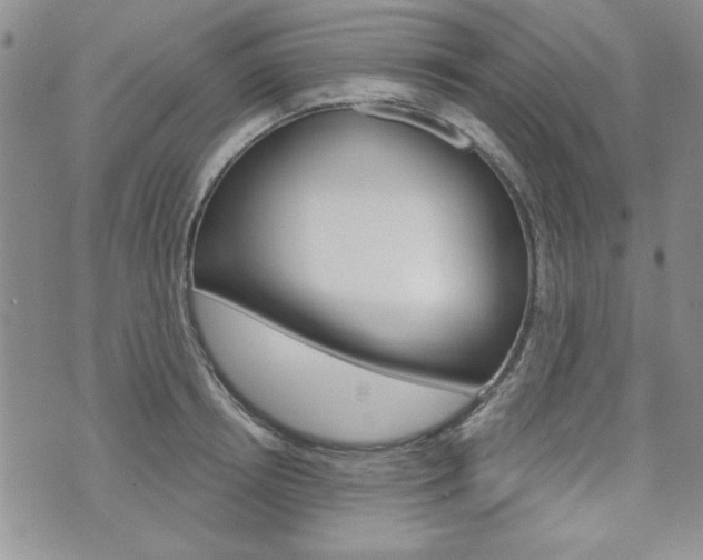 X0000076240850200609280921